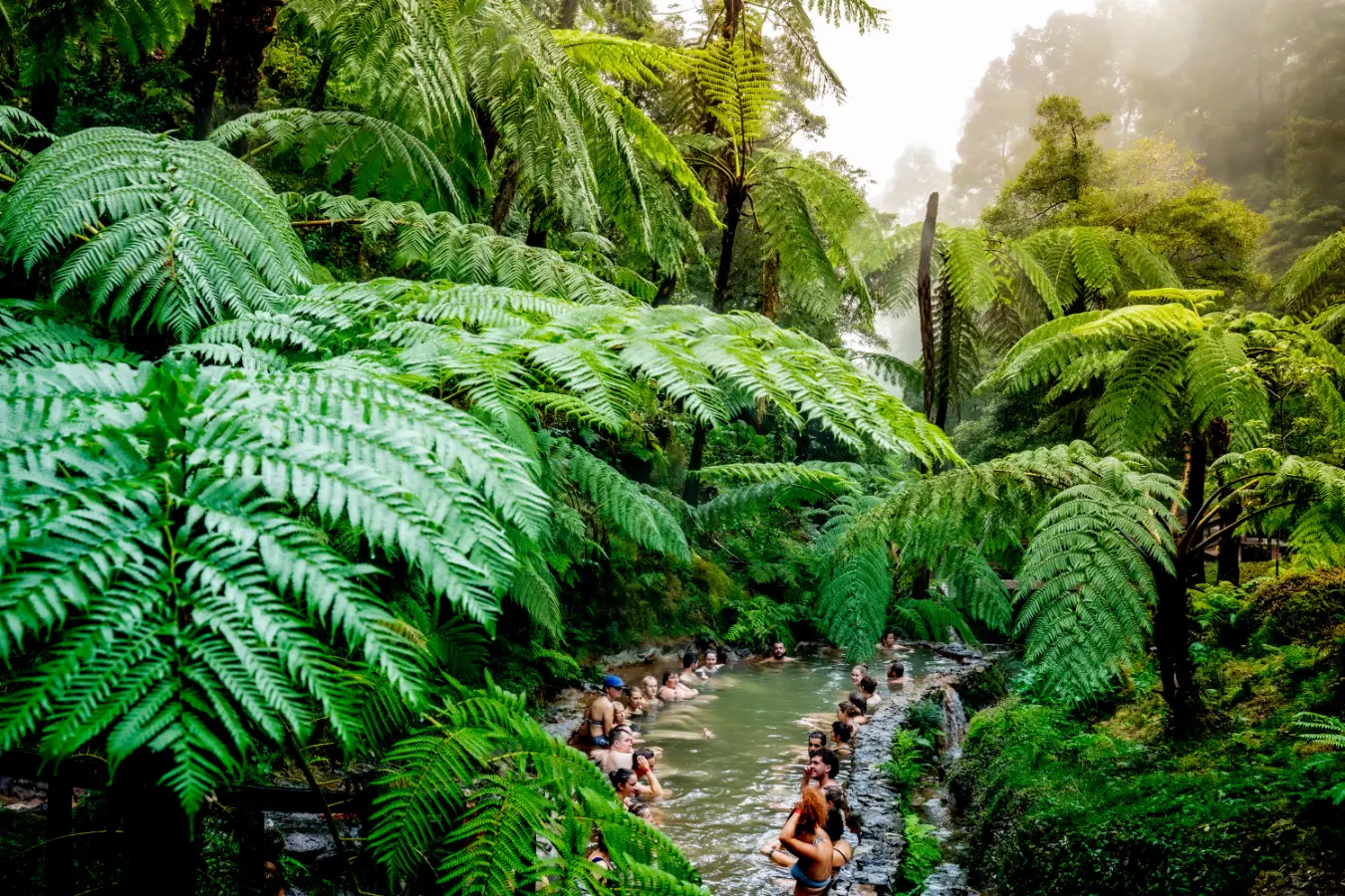 מדריך לסאו מיגל