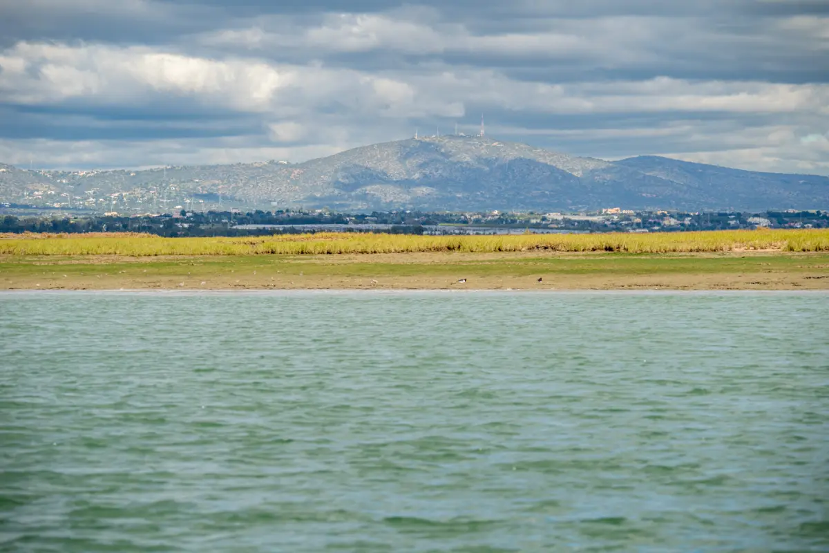 ריו פורמוזה