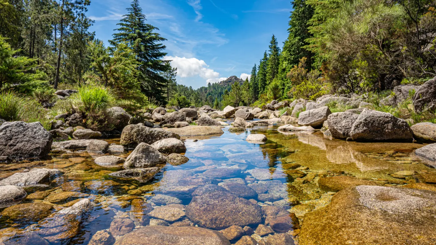 צפון פורטוגל בעשרה ימים
