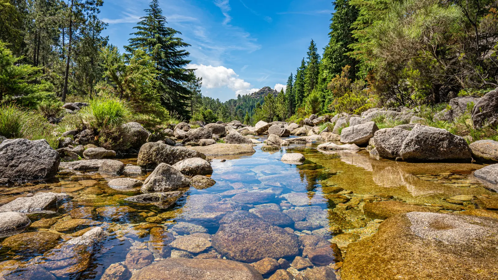 תמונת רקע לחנות