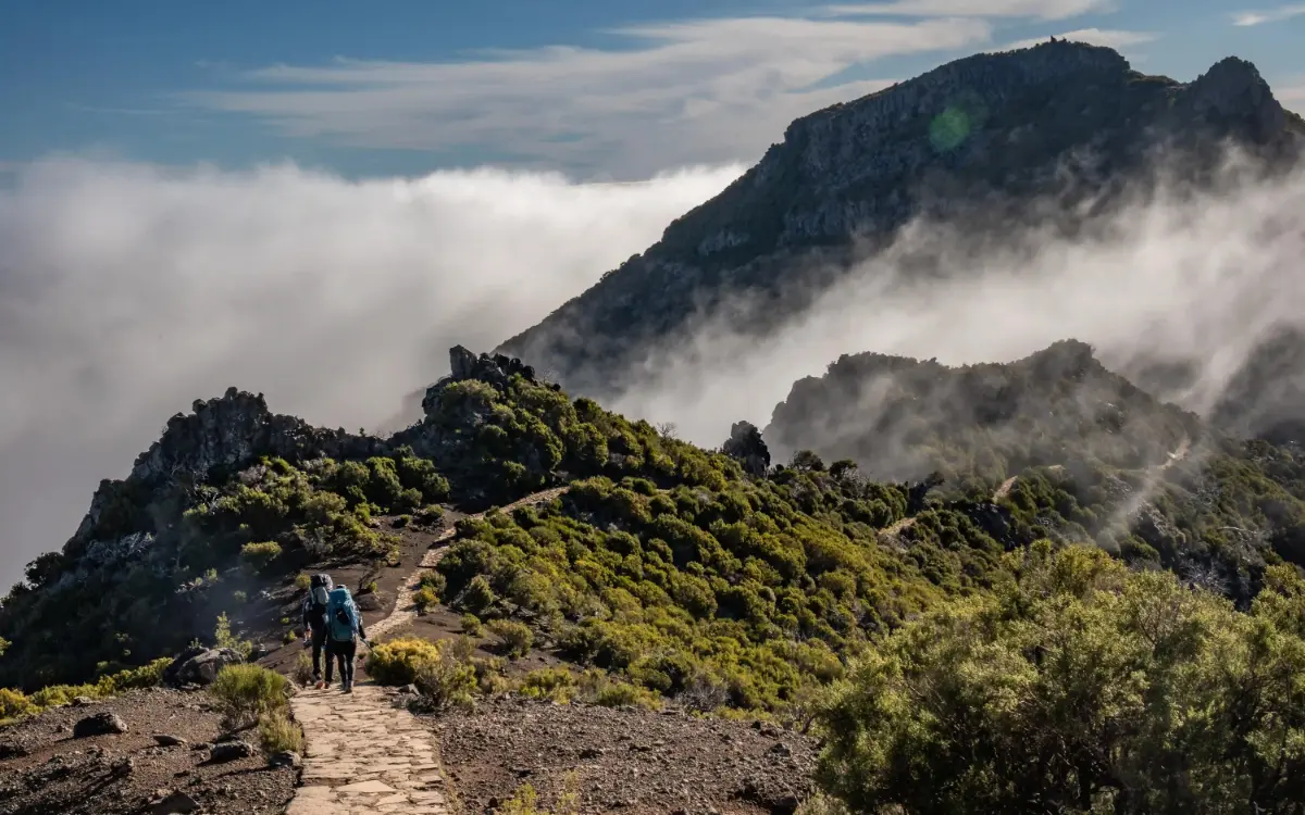 פסגות געשיות