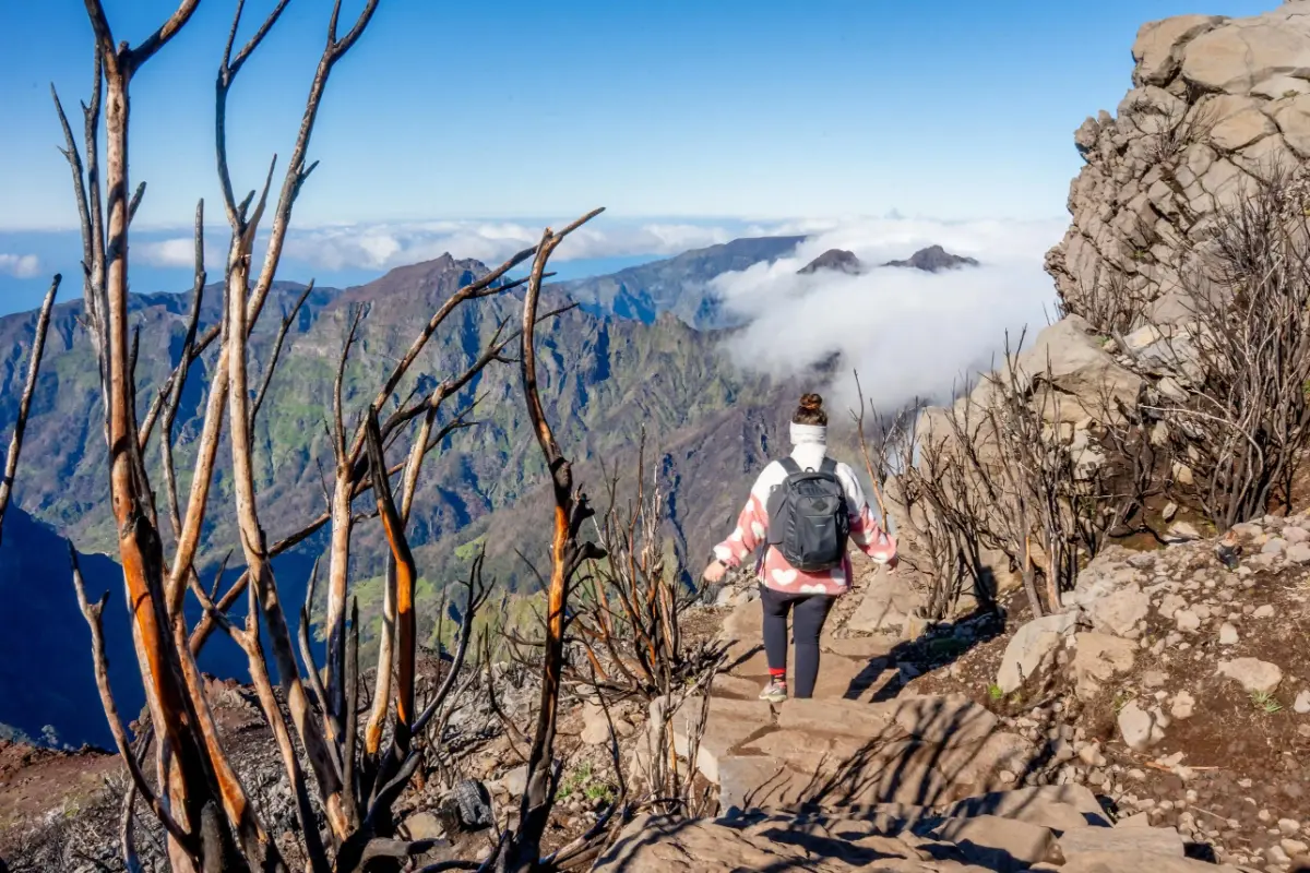פסגות געשיות
