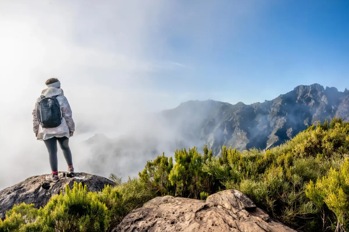 פסגות געשיות