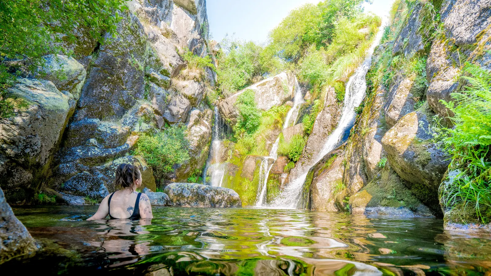 שמורות הטבע